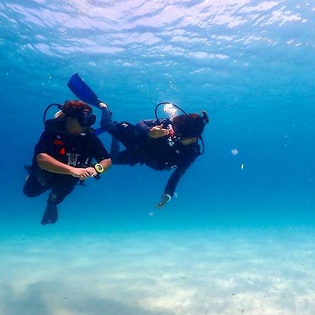 The Dearly Koh Tao Hostel-Padi 5 Star Dive Resort Exterior foto