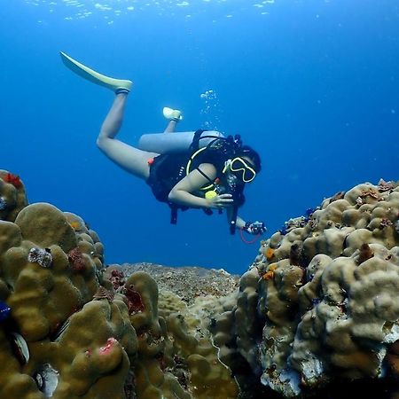 The Dearly Koh Tao Hostel-Padi 5 Star Dive Resort Exterior foto