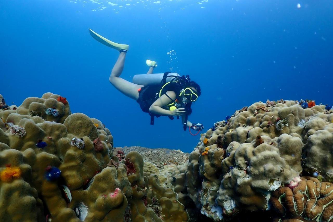 The Dearly Koh Tao Hostel-Padi 5 Star Dive Resort Exterior foto