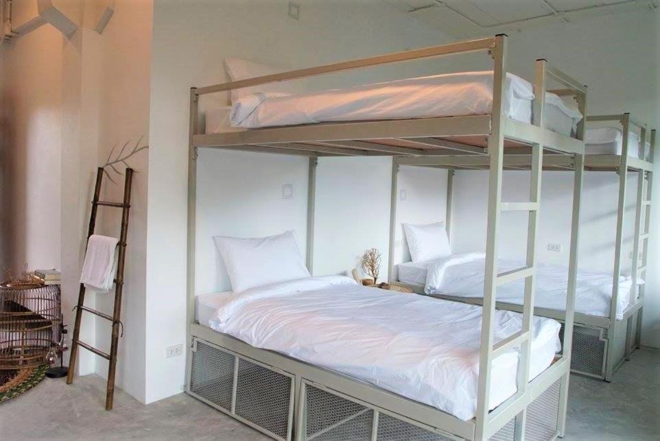 The Dearly Koh Tao Hostel-Padi 5 Star Dive Resort Exterior foto
